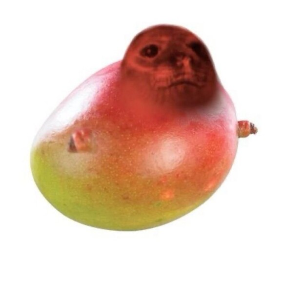 ajyearling